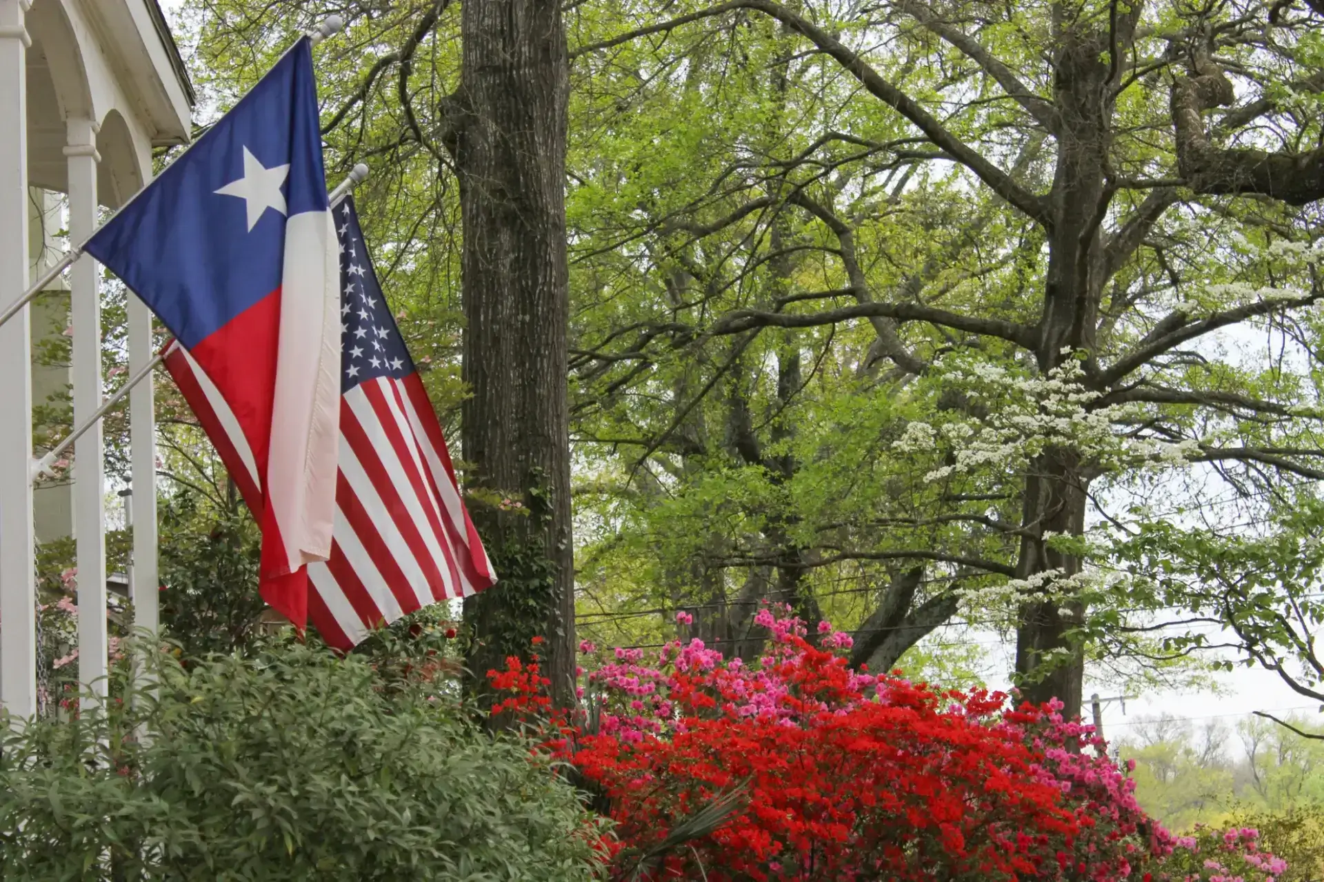 Texas and American flags with spring flowers.